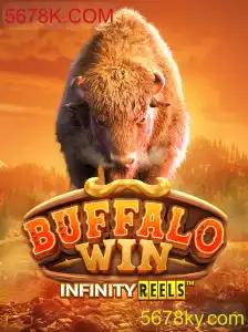 Explorando o Mundo de BuffaloWin: O Que Você Precisa Saber